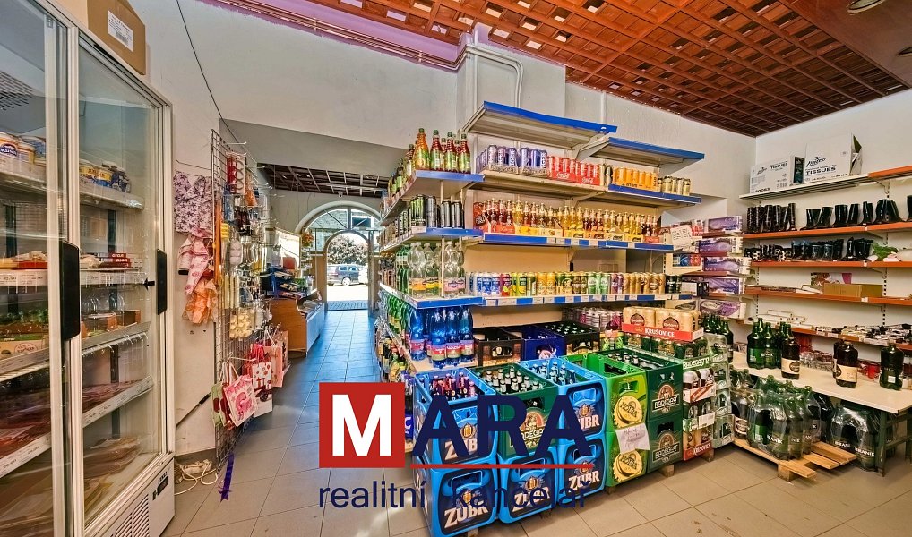 Prodej domu 739 m² s pozemkem 1 095 m², Tovačov – náhled fotky 3