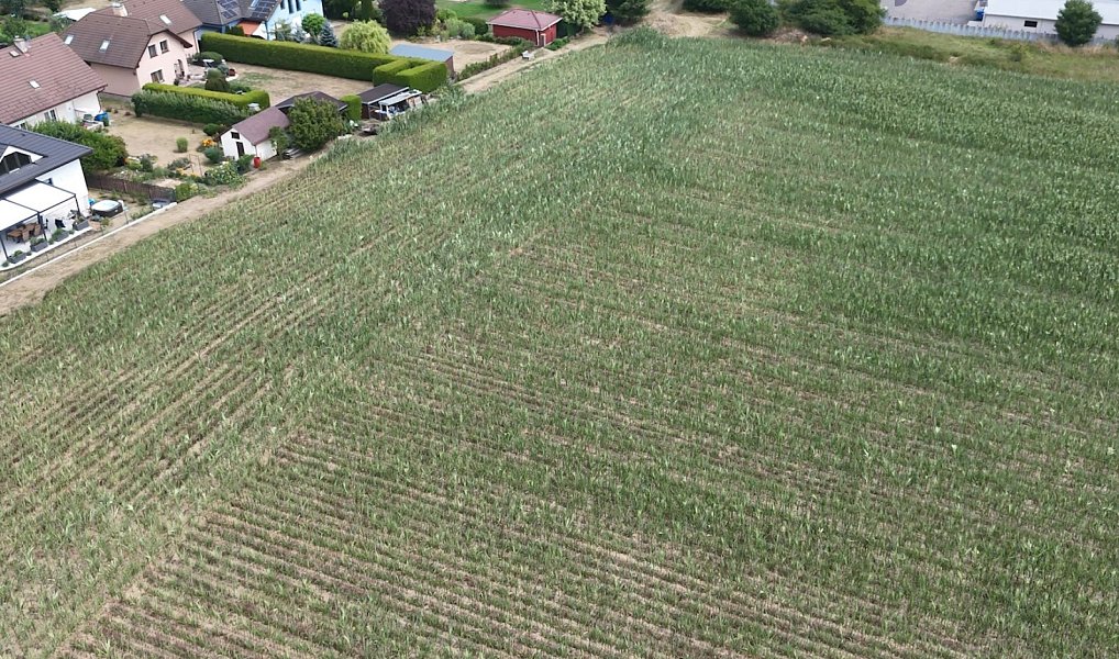 Prodej pole 71 903 m², Bystřice – náhled fotky 10