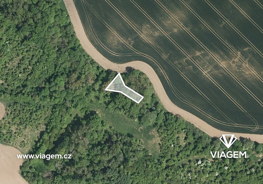Prodej pole 559 m²