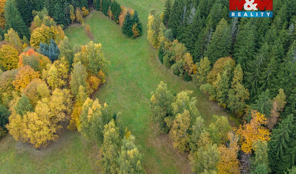 Prodej louky 2 029 m², Tanvald – náhled fotky 8