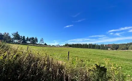 Prodej louky 8 082 m², Dubí, okres Teplice