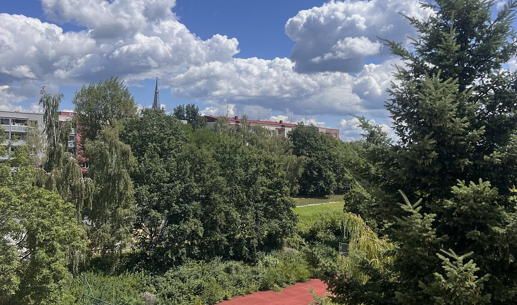 Prodej bytu 1+1 37 m², Frýdek-Místek – náhled fotky 8