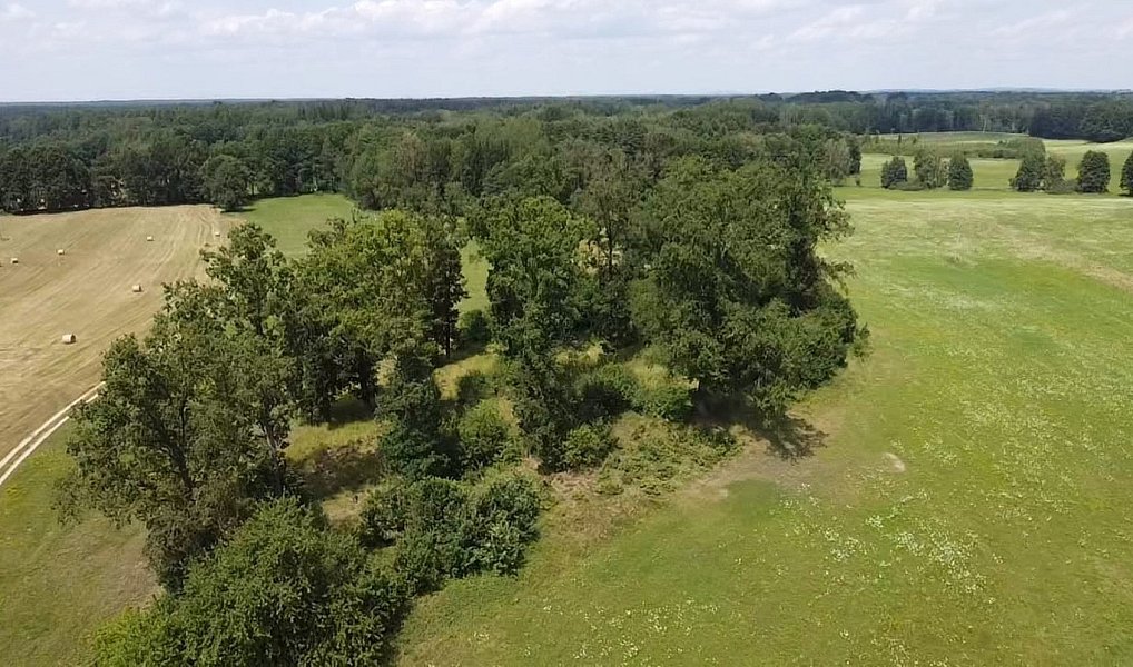 Prodej pole 130 000 m², Chlum u Třeboně – náhled fotky 5