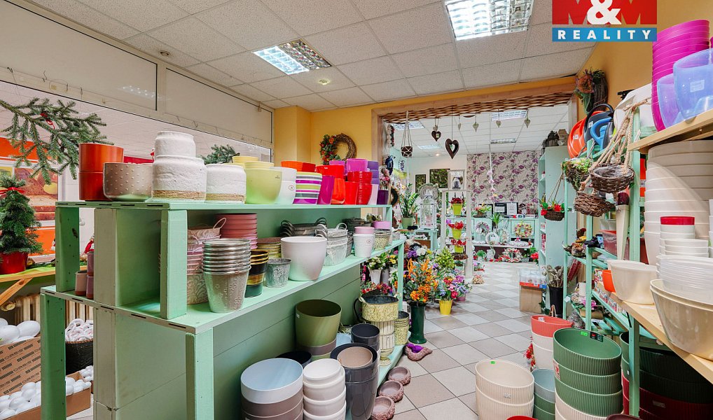 Pronájem obchodních prostor 133 m², Třemošná – náhled fotky 4