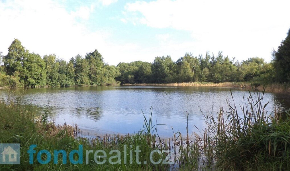 Prodej pozemku 1 919 m², Slavonice – náhled fotky 6