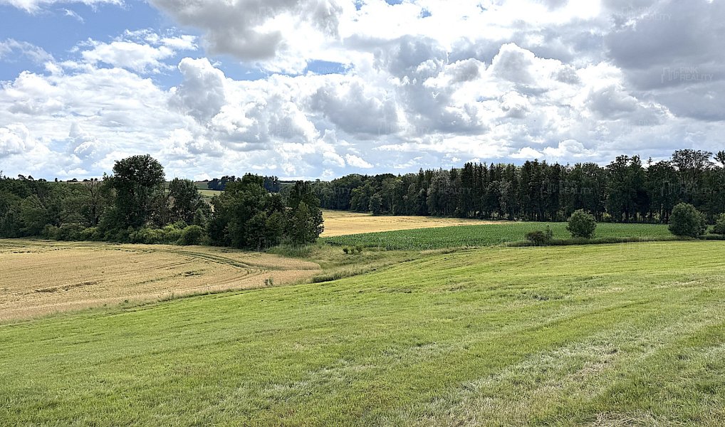 Prodej louky 16 663 m², Rychnov nad Kněžnou – náhled fotky 5