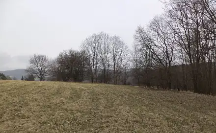 Prodej pole 939 m², Malečov - Řetouň, okres Ústí nad Labem