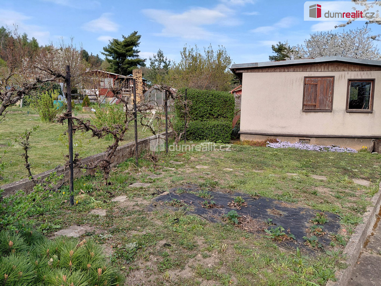 Prodej chaty/chalupy 20 m²