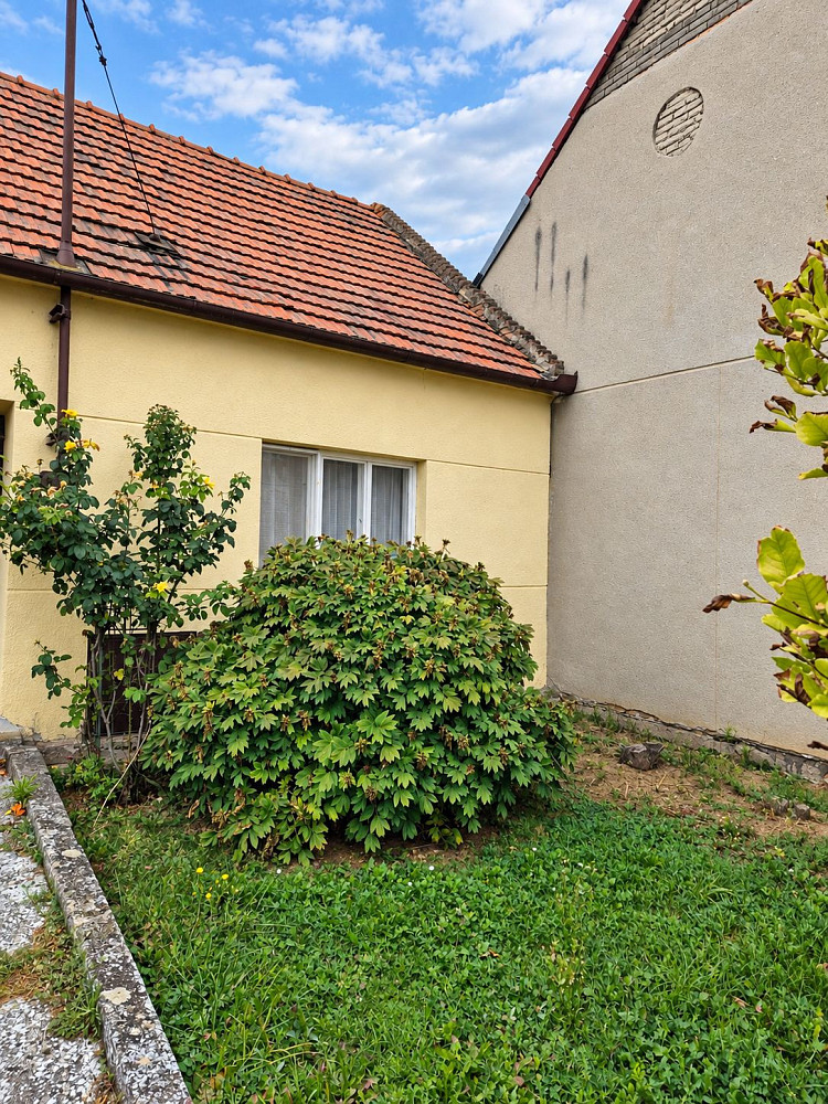Prodej domu 70 m² s pozemkem 1 811 m² – fotografie 2