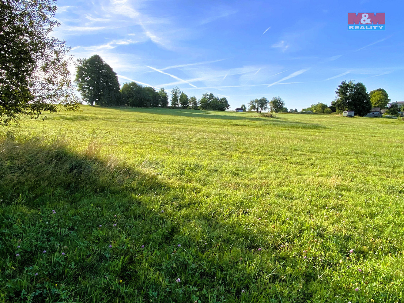Prodej louky 11 513 m² — photo 5