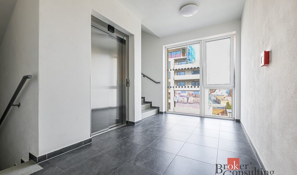 Pronájem bytu 1+kk 36 m², Plzeň – náhled fotky 12