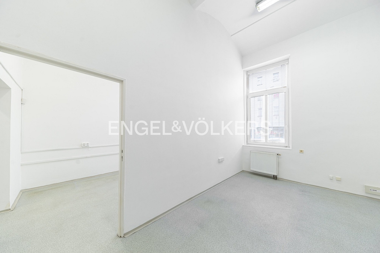 Pronájem komerčního objektu (jiného typu) 288 m² – fotografie 5