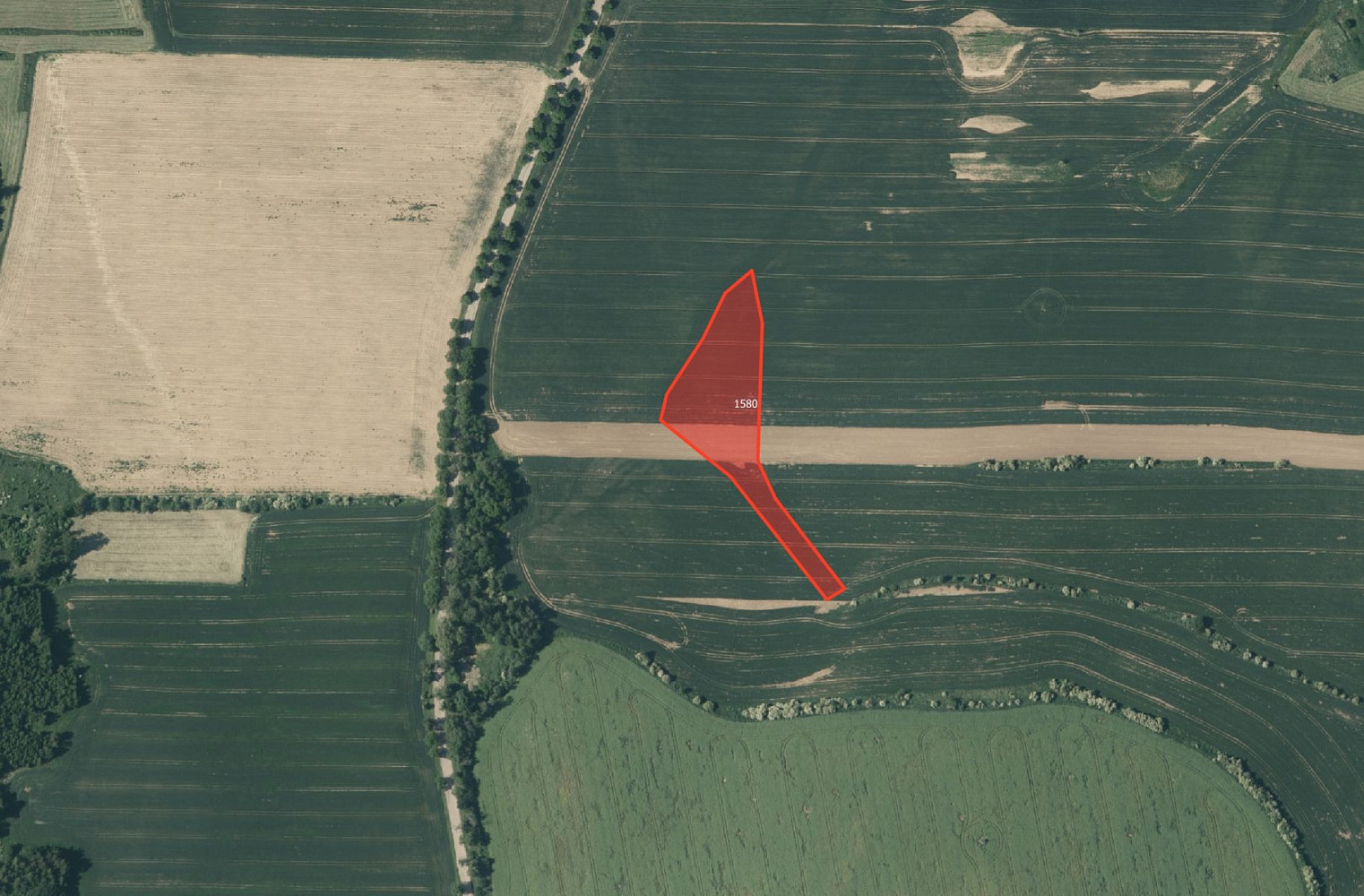 Prodej pole 35 978 m² – fotografie 5