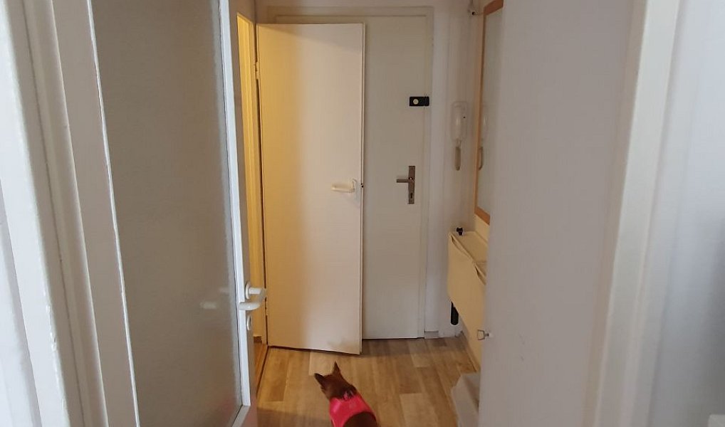 Prodej bytu 1+kk 30 m², Brno – náhled fotky 7