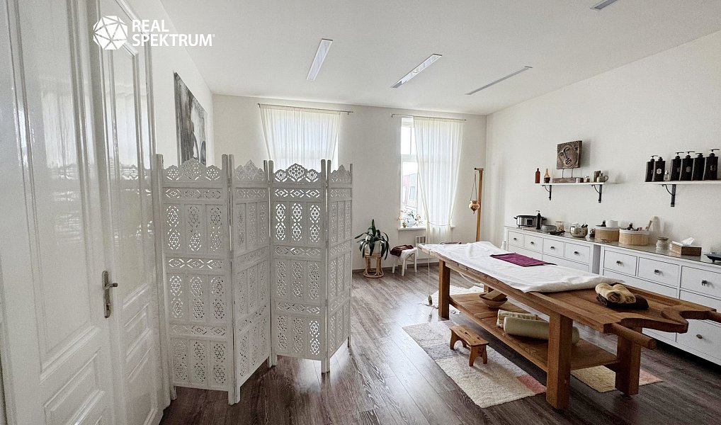 Prodej nájemního domu, činžáku 1 790 m², Hodonín – náhled fotky 18