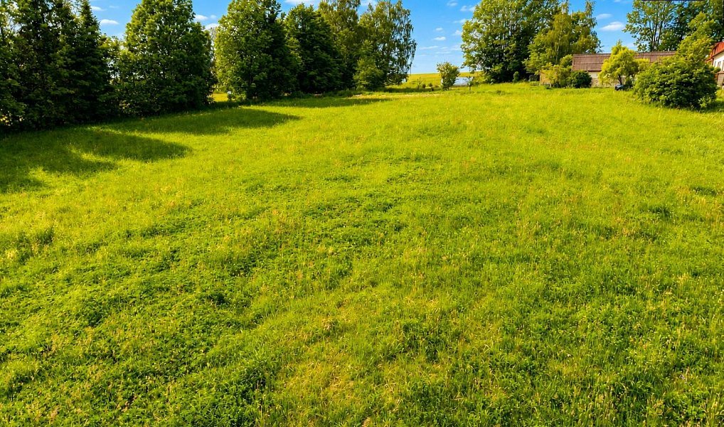 Prodej stavebního pozemku 7 007 m², Razová – náhled fotky 10