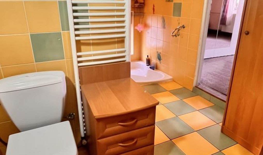 Prodej domu 150 m² s pozemkem 387 m², Bílina – náhled fotky 12