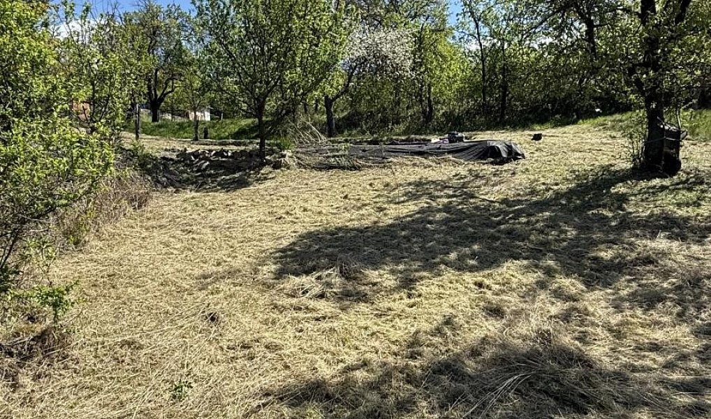 Prodej zahrady 539 m², Slavkov u Brna – náhled fotky 9