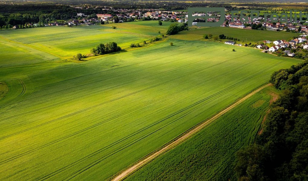Prodej pole 26 000 m², Lázně Bohdaneč – náhled fotky 4