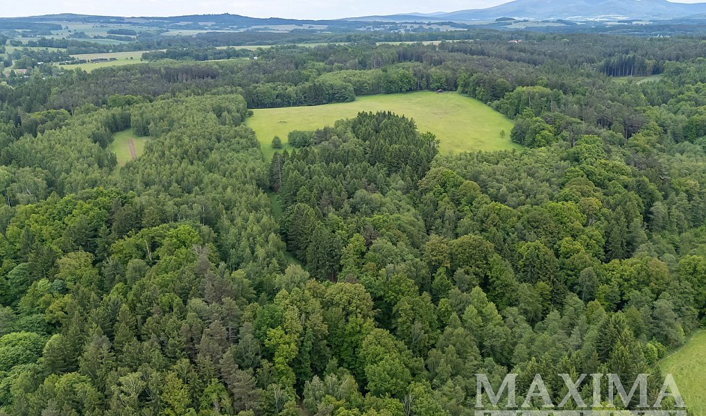 Prodej pole 14 573 m², Višňová – náhled fotky 5