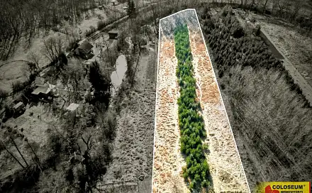 Prodej pole 5 202 m², Znojmo