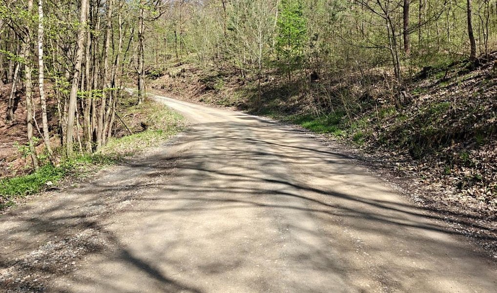 Prodej zahrady 5 059 m², Nižbor – náhled fotky 4