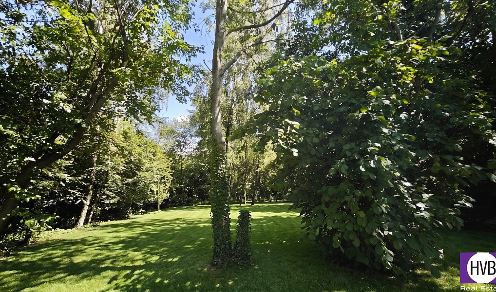 Prodej domu 105 m² s pozemkem 3 600 m², Suchdol – náhled fotky 5