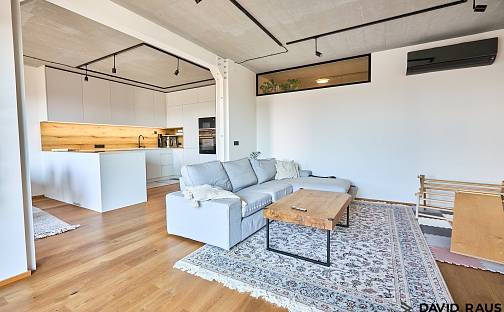 Prodej bytu 3+kk 110 m², Spolková, Brno - Zábrdovice