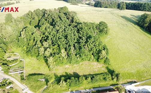 Prodej stavebního pozemku 7 006 m², Dubičné, okres České Budějovice