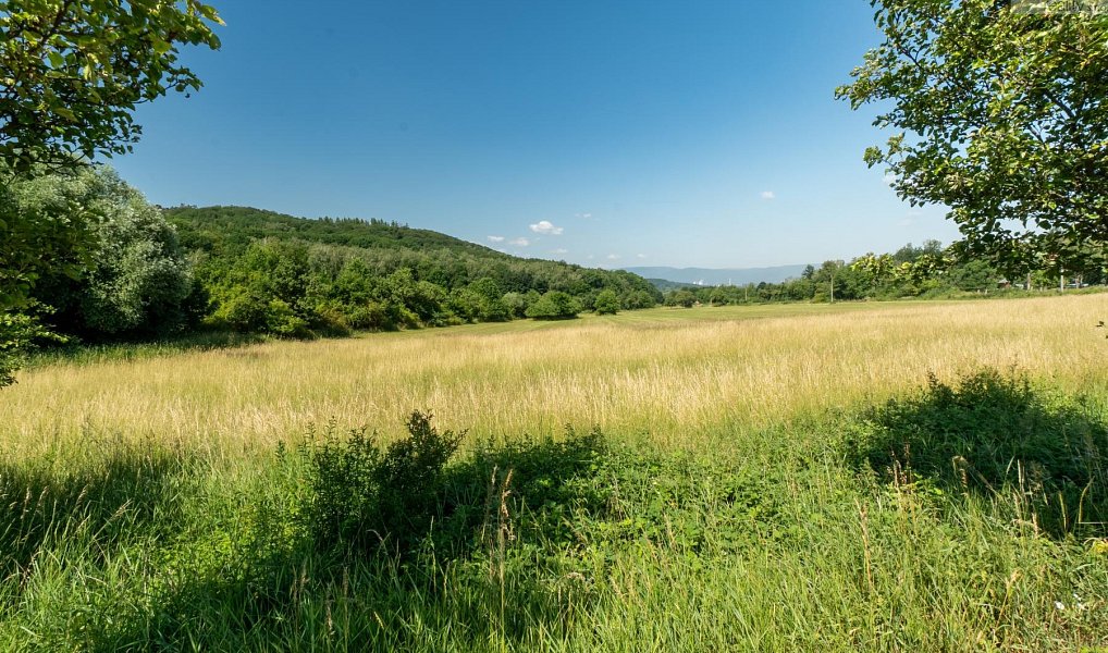 Prodej komerčního pozemku 23 391 m², Braňany – náhled fotky 4