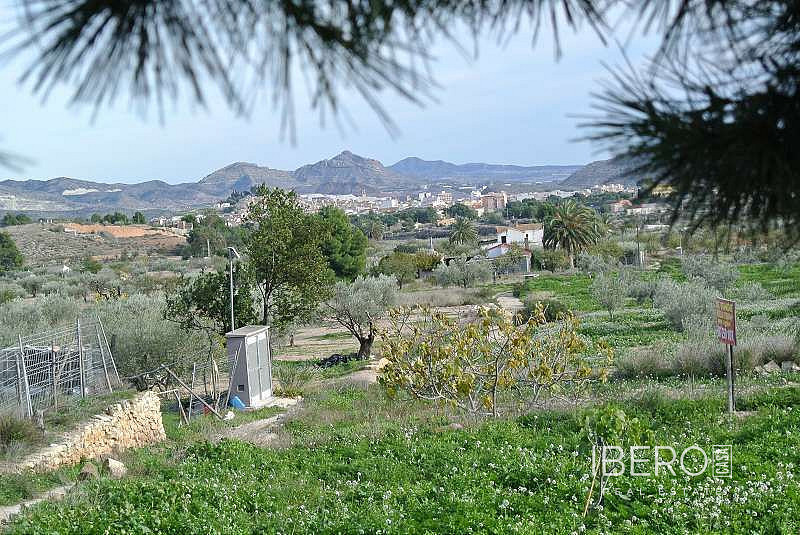 Casa 5+kk – Monòver / Monóvar, el Vinalopó Mitjà / El Vinalopó Medio - Vista 3