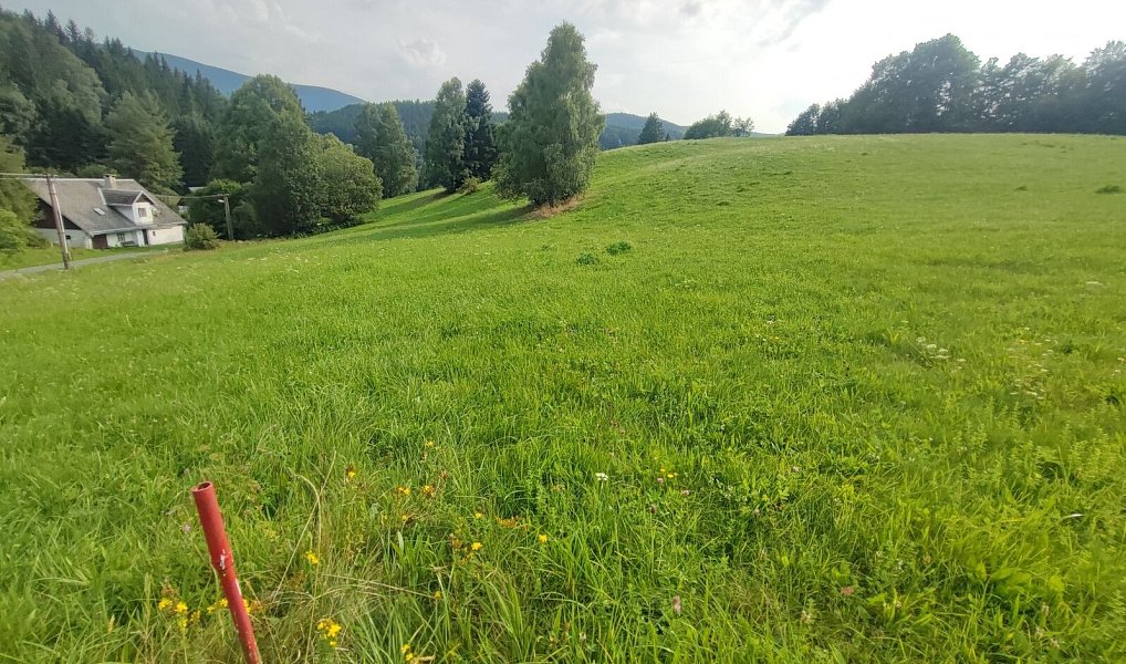 Prodej stavebního pozemku 22 105 m², Lipová-lázně – náhled fotky 4