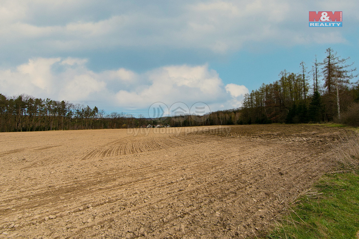 Prodej pole, 5839 m², Předenice – pohled 4
