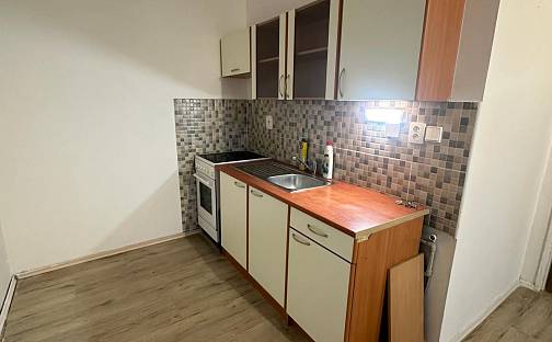 Pronájem bytu 2+kk 51 m², Alšova, Bílina - Pražské Předměstí, okres Teplice