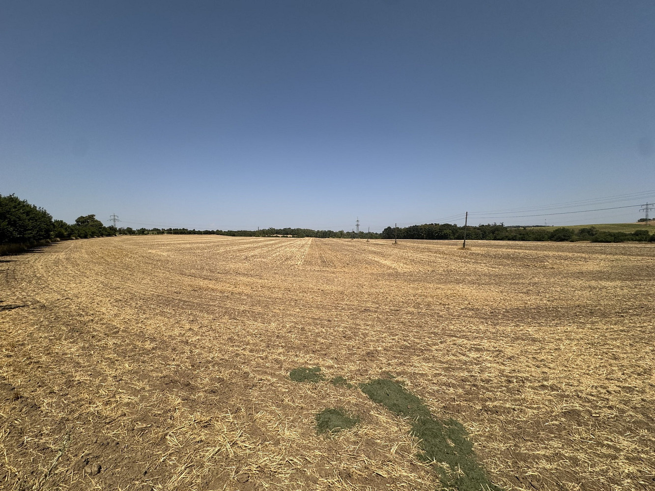 Prodej zahrady 500 m² – fotografie 4