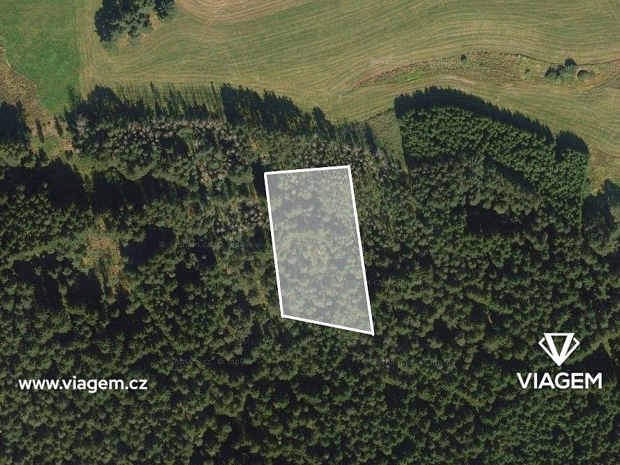 Prodej lesa 904 m² — photo 2