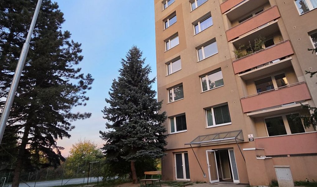 Prodej bytu 1+kk 30 m², Brno – náhled fotky 4