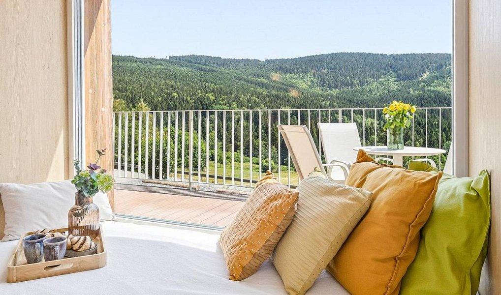Prodej bytu 3+kk 54 m², Kubova Huť – náhled fotky 21