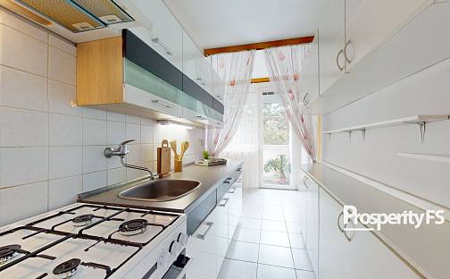 Pronájem bytu 2+1 50 m², Kamenná, Ústí nad Labem - Střekov