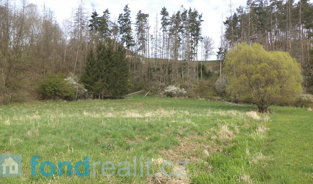 Prodej pozemku 2 759 m², Dešná – náhled fotky 4