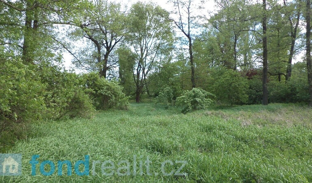 Prodej pozemku 1 844 m², Dětmarovice – náhled fotky 3