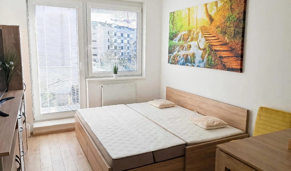 Pronájem bytu 1+kk 30 m², Praha – náhled fotky 2