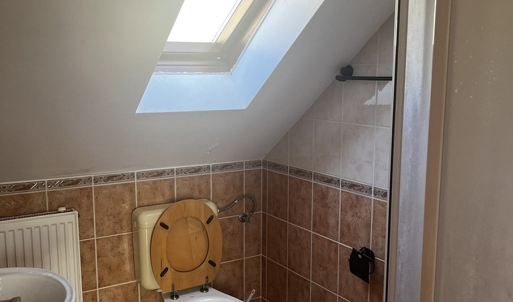 Prodej domu 160 m² s pozemkem 4 055 m², Podhradní Lhota – náhled fotky 29