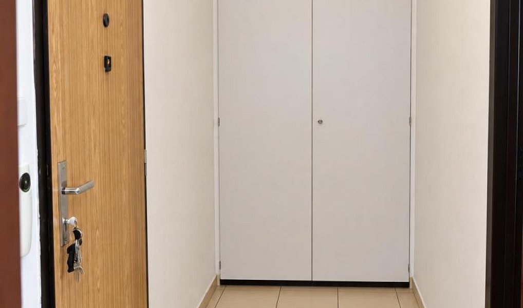 Pronájem bytu 2+1 45 m², Orlová – náhled fotky 13