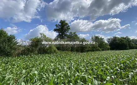 Prodej pozemku 156 m², Mohelnice, okres Šumperk