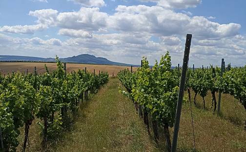 Prodej pozemku 13 493 m², Starovice, okres Břeclav