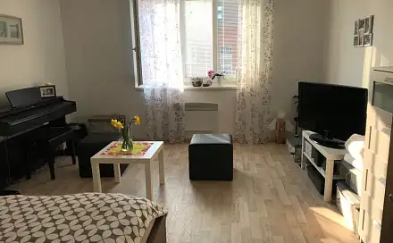 Pronájem bytu 1+1 40 m²