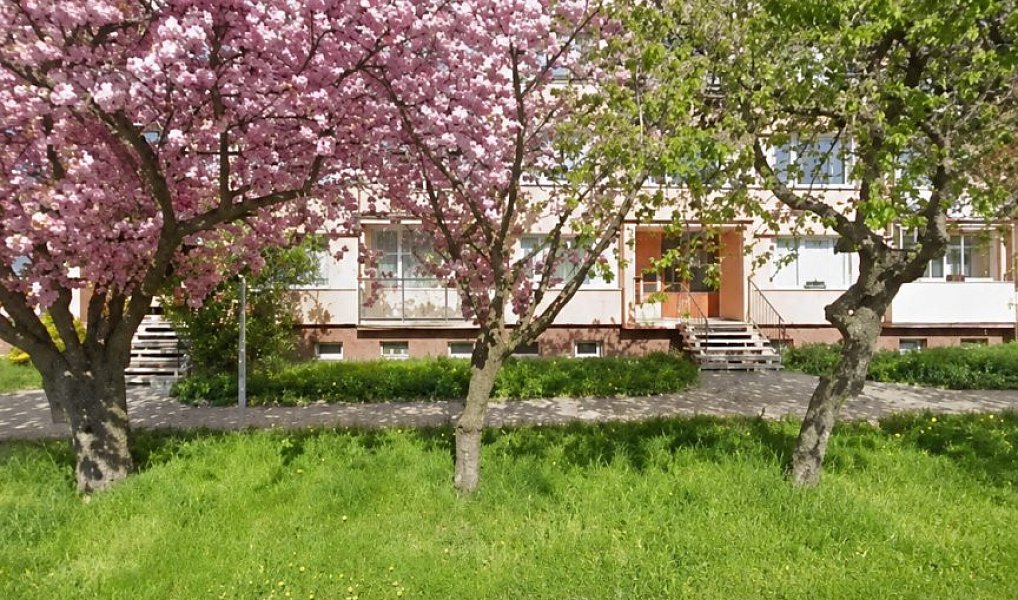 Prodej bytu 2+1 65 m², Chomutov – náhled fotky 6