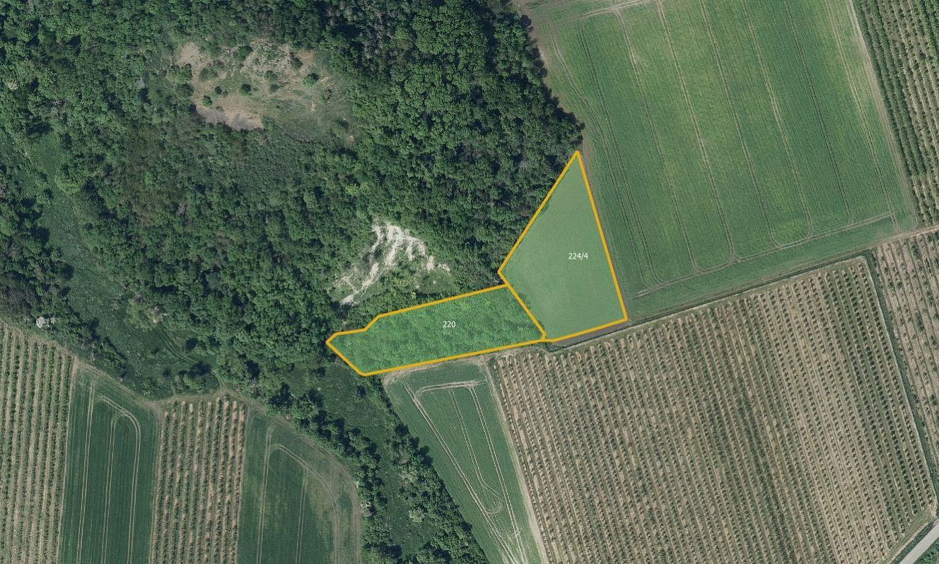 Prodej pole 133 318 m² — photo 4