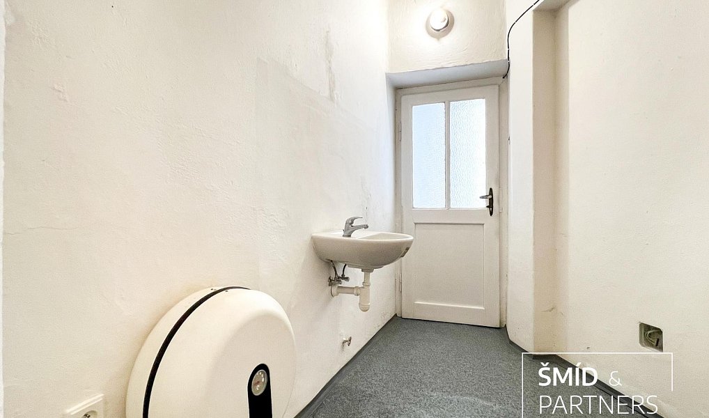 Prodej domu 540 m² s pozemkem 284 m², Zásmuky – náhled fotky 18
